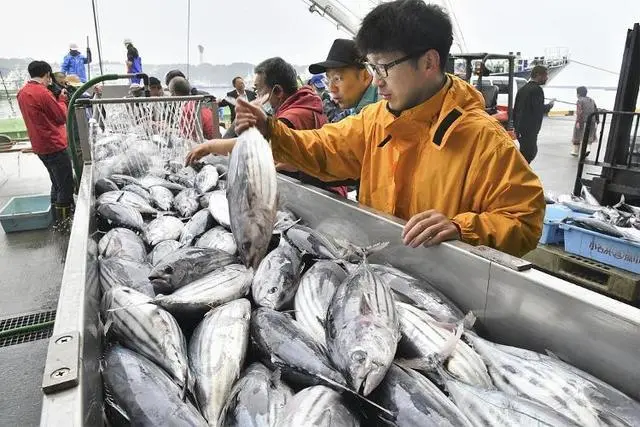 日本排放核污水海洋直播_日本核污水排放洋流_日本排放核污水对海洋