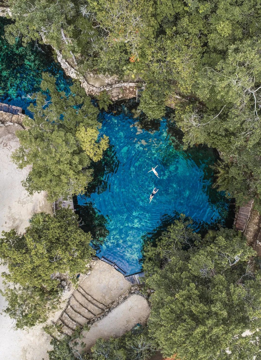 海边丛林趣事探索生活怎么写_探索丛林趣事海边生活_海边的探险之旅