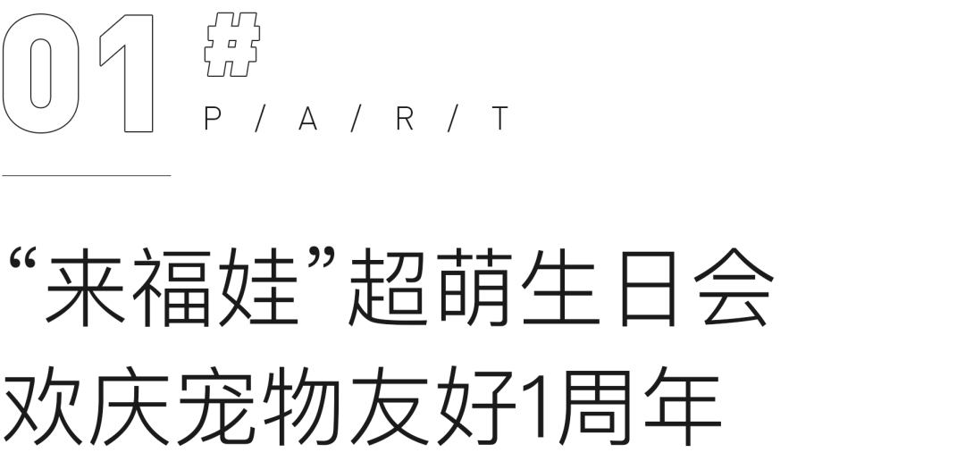 家庭宠物日常保洁_保洁宠物日常家庭管理制度_宠物保洁的主要特征