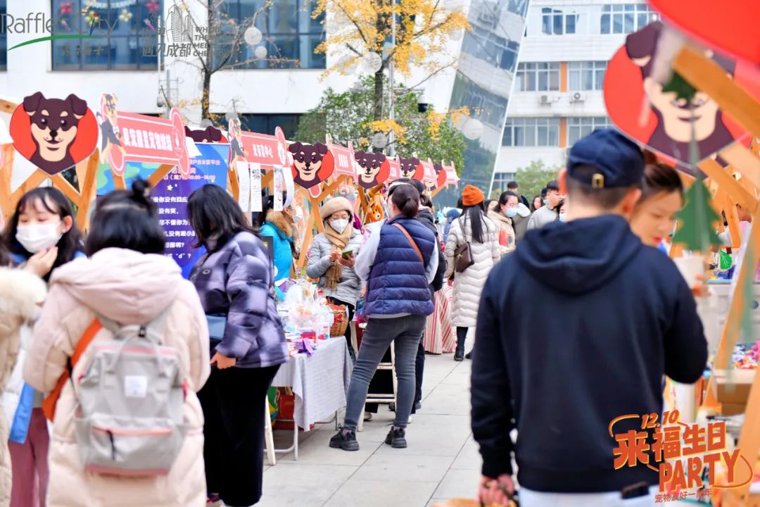 保洁宠物日常家庭管理制度_家庭宠物日常保洁_宠物保洁的主要特征