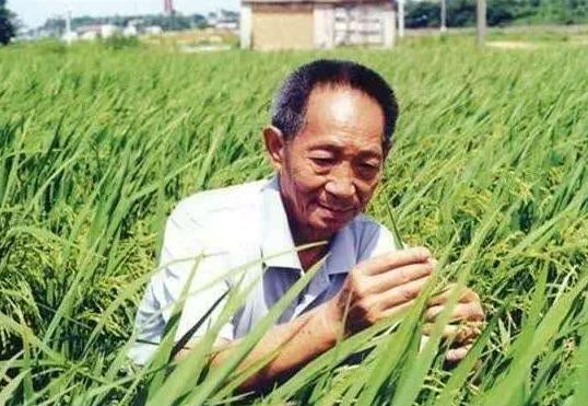 袁隆平爷爷生活趣事_关于袁隆平爷爷的日记400字_袁隆平爷爷的故事600字