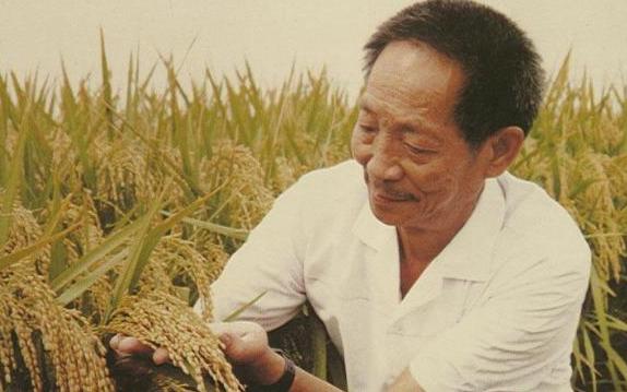 袁隆平爷爷生活趣事_袁隆平爷爷的故事600字_关于袁隆平爷爷的日记400字