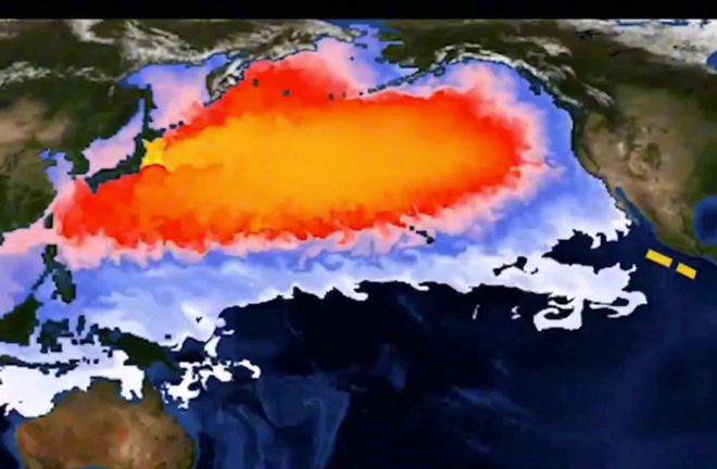 日本核污水排入哪个大洋_日本排放核污水入大海_日本排放核污水排到哪个大洋