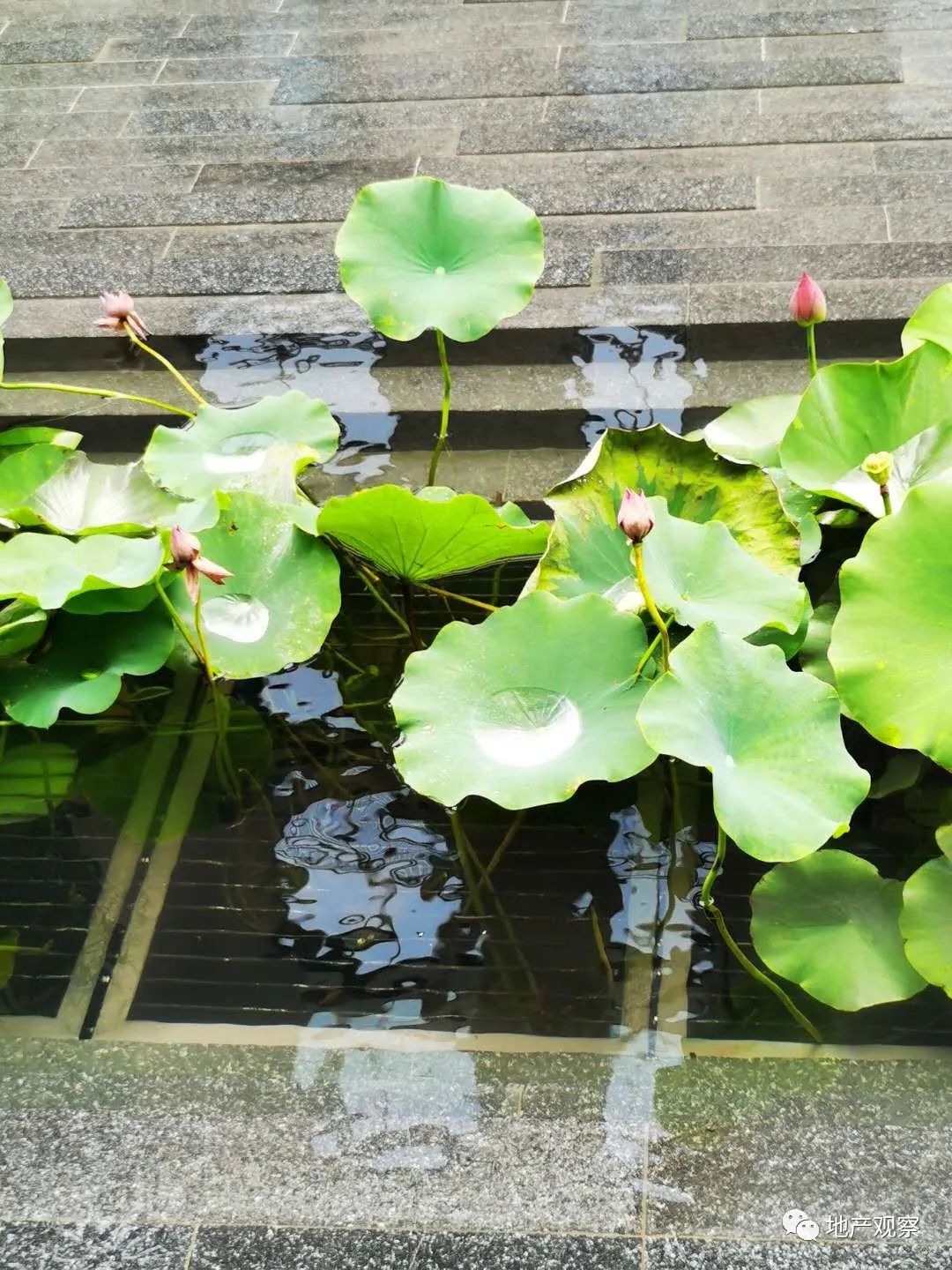 泵污水郑州厂家有哪些_郑州污水泵厂家_泵污水郑州厂家排名