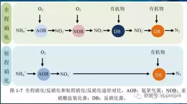 污水沉淀前后_污水沉淀原理_污水处理沉淀