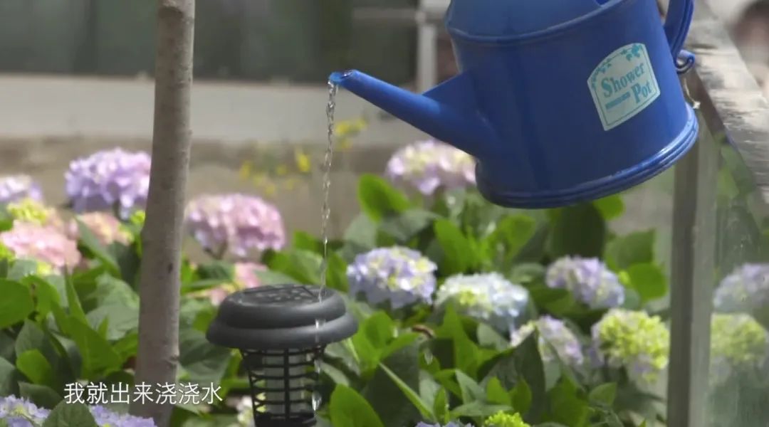 独居的生活方式_独居小技巧_妈妈独居生活技巧